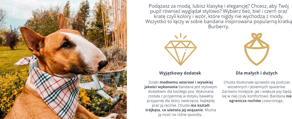 Urozmaicenie wizualne karty produktu. W układzie mobilnym elementy układają się jeden pod drugim Urozmaicenie wizualne karty produktu. W układzie mobilnym elementy układają się jeden pod drugim