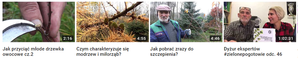Przykład zawartości edukacyjnej (typ: witamy w ogrodzie) na YouTube. Przykładowa zawartość edukacyjna (witamy w ogrodzie) w serwisie YouTube.