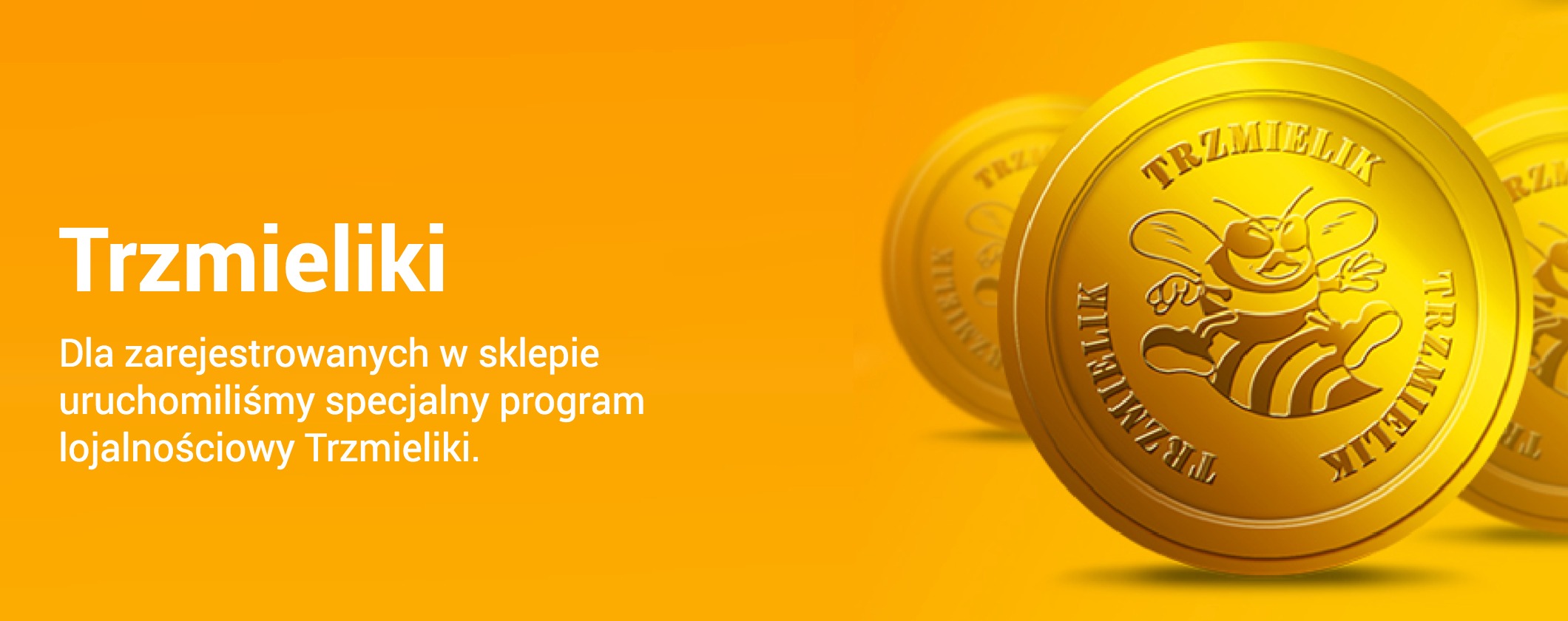 Przykład logotypu programu lojalnościowego spójny z logiem sklepu Nazwij oryginalnie program lojalnościowy, by pasował do sklepu internetowego