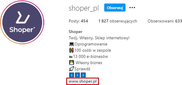 Przykład dodanego linka do strony internetowej w opisie (bio) profilu Instagram