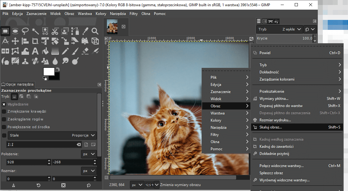 Jak skalować zdjęcie w programie graficznym GIMP? Skalowanie obrazu w programie GIMP