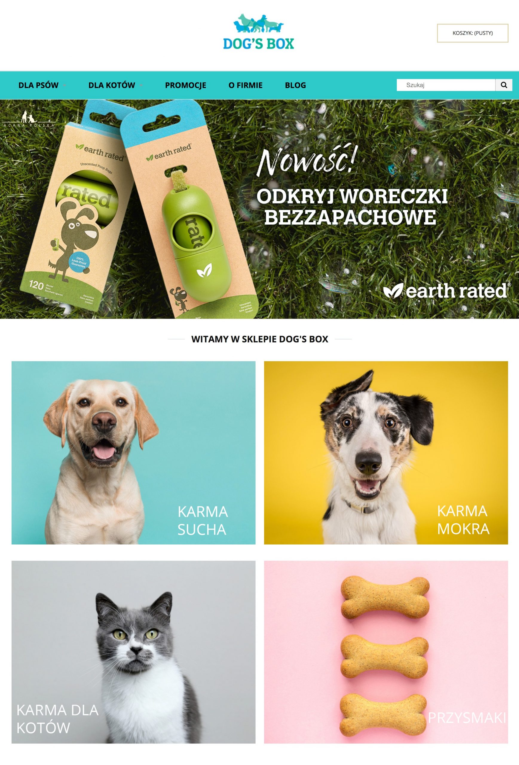 Dogsbox_Sklep_Internetowy_Shoper-scaled