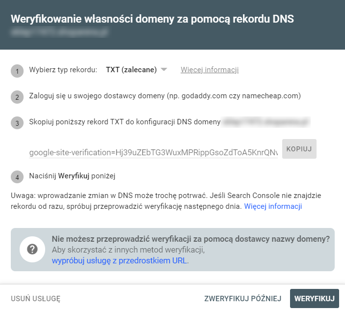 Weryfikacja własności domeny przy użyciu rekordu DNS Weryfikacja własności domeny przy użyciu rekordu DNS