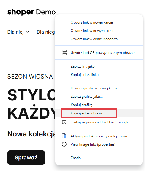 Kopiowanie adresu url do logotypu sklepu internetowego