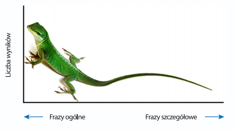 dlugi ogon pozycjonowanie