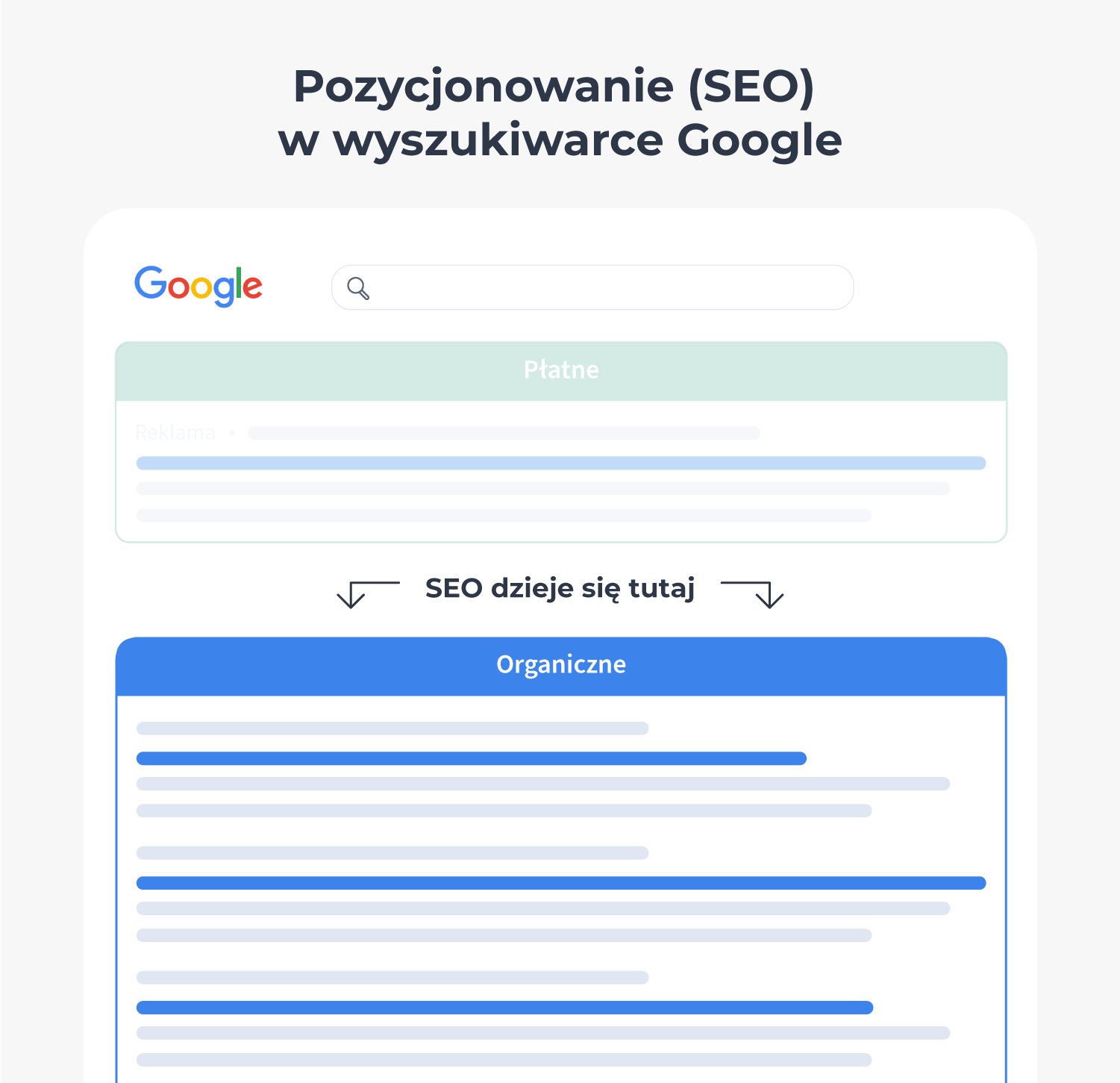 Pozycjonowanie SEO w wyszukiwarce Google