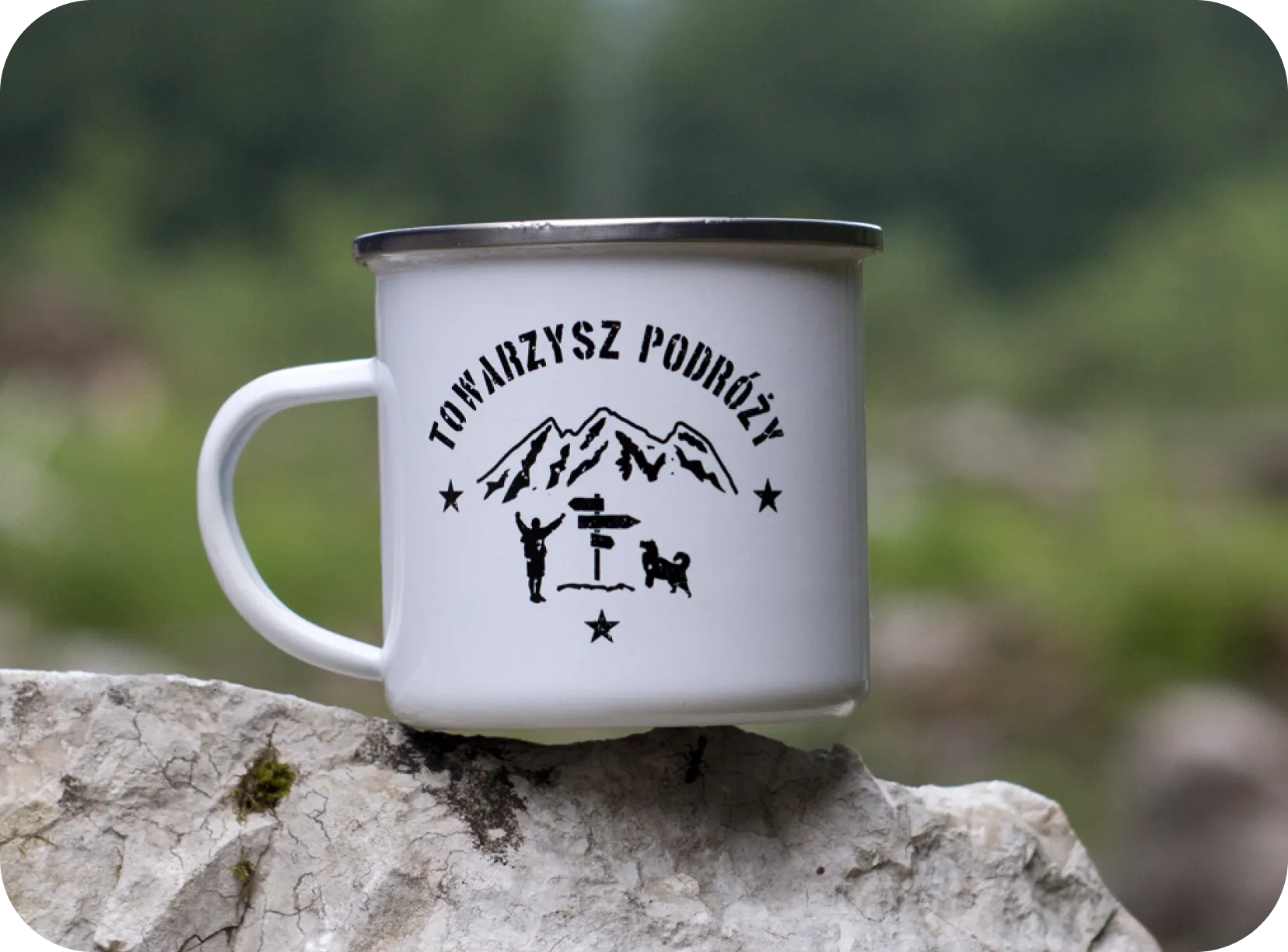 Wizualizacja sklepu Lisia Nora