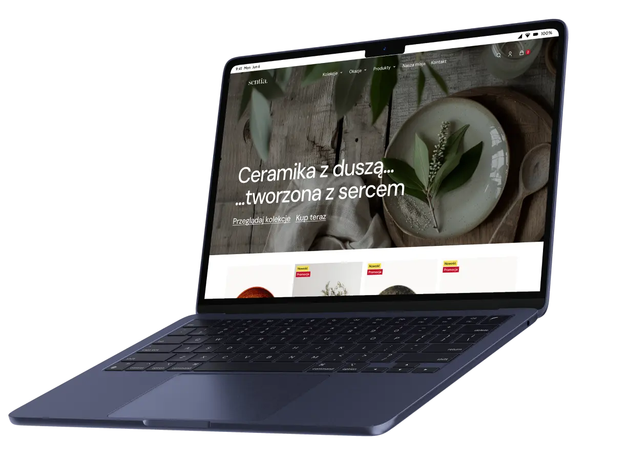 Przykład sklepu internetowego na laptopie