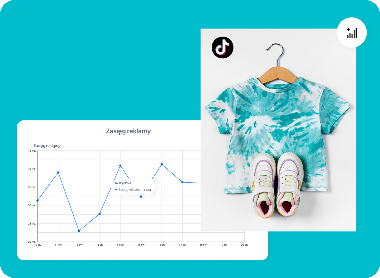 Przykładowe wyniki kampanii TikTok Ads